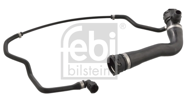 Radiator Hose